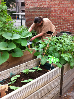 Les Ateliers de Jardinage